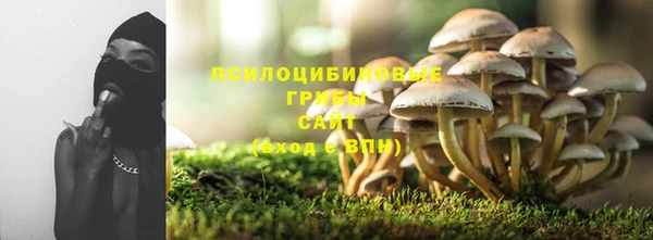стафф Балабаново