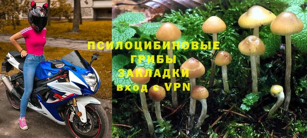 стафф Балабаново